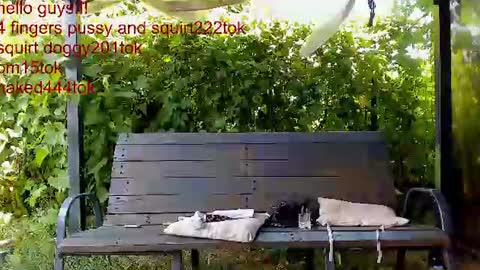 Snapshot of you_love_melisa chatting on July 5, 10:22 am private on 18 per minute start private 500 tokensOnlyfans online show from July 5, 10:22 am