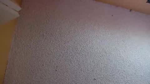 Sophiestar online show from March 5, 7:21 pm