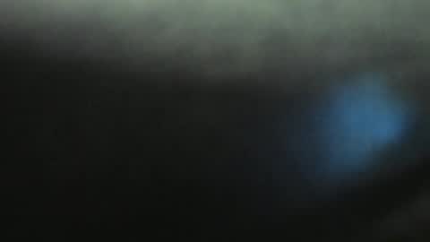 Evelline online show from January 11, 3:20 pm