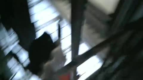 Snapshot of yourpersonalgeniusl chatting on December 15, 10:47 pm yourpersonalgeniusl online show from December 15, 10:47 pm