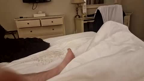 ytdecoy76 online show from November 8, 8:47 am