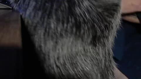 Snapshot of yumguy69 chatting on September 17, 12:40 pm YumGuy69 online show from September 17, 12:40 pm