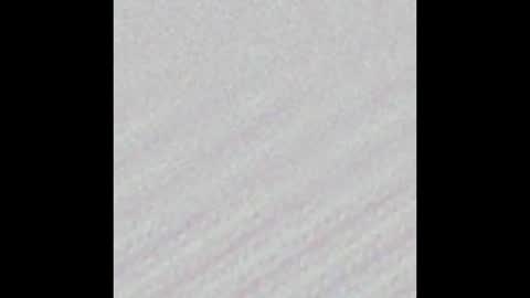 Snapshot of yungbbcbro chatting on February 16, 4:42 am Octavian online show from February 16, 4:42 am