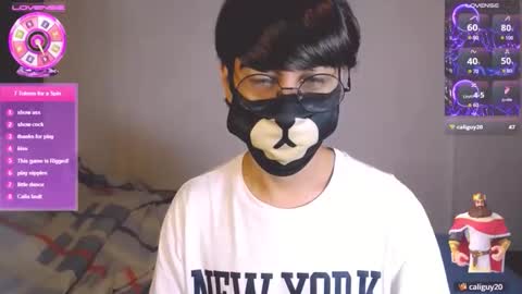 the puppy boy online show from November 19, 4:01 am