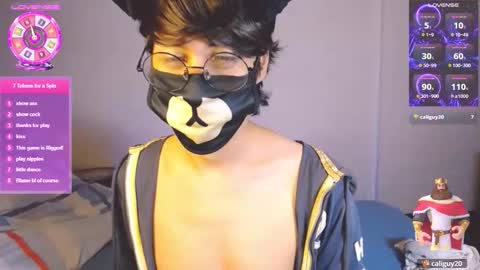 the puppy boy online show from March 7, 3:47 am