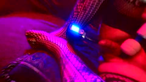 Snapshot of z0rl0c chatting on October 4, 5:38 am Z0RL0C online show from October 4, 5:38 am