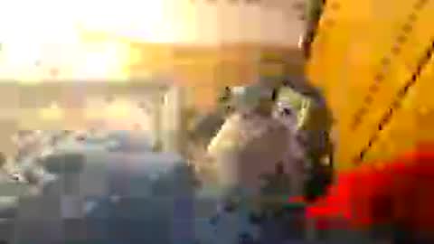 Snapshot of z0rl0c chatting on August 1, 6:18 pm Z0RL0C online show from August 1, 6:18 pm