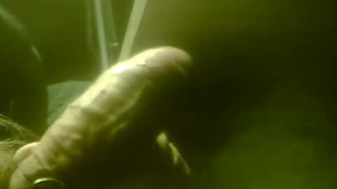 zaboski4 online show from December 1, 8:52 am