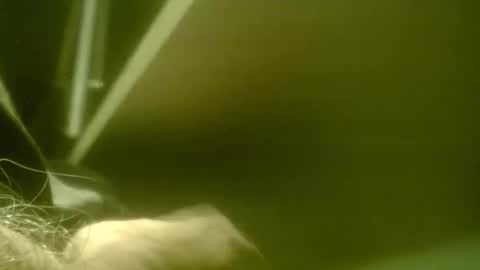 zaboski4 online show from March 7, 8:33 am