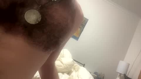 zac15876 online show from January 27, 1:41 pm