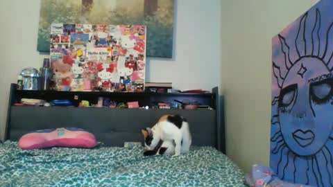 Snapshot of zaddyslilslutbucket chatting on September 13, 10:20 pm zaddyslilslutbucket online show from September 13, 10:20 pm