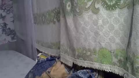 zarinamarlin online show from May 5, 6:21 am