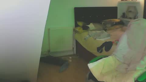 Zed online show from December 13, 1:44 pm