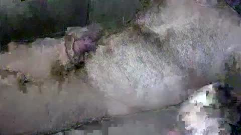 Snapshot of zepincam chatting on October 13, 5:18 am zepincam online show from October 13, 5:18 am