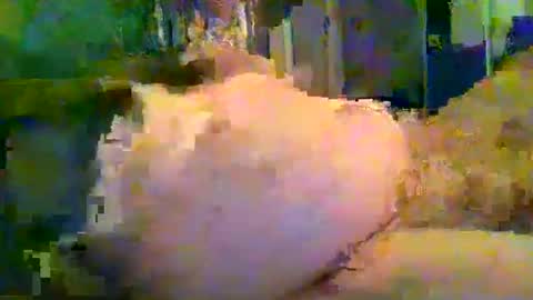 Snapshot of zero0zero123 chatting on September 27, 9:53 pm zero0zero123 online show from September 27, 9:53 pm