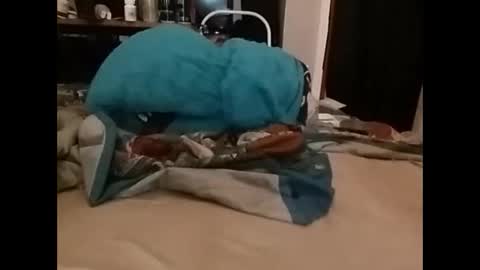 Snapshot of zeroandhero chatting on December 14, 3:36 pm zero online show from December 14, 3:36 pm