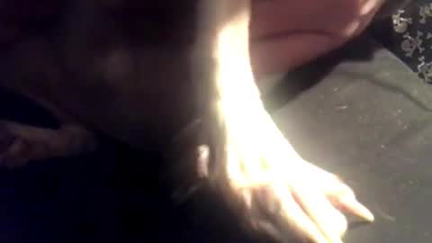 Snapshot of zeroandhero chatting on March 7, 8:13 am zero online show from March 7, 8:13 am