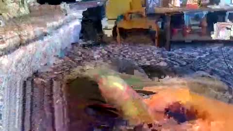 Snapshot of zerrannor chatting on November 1, 9:00 am Zerr online show from November 1, 9:00 am