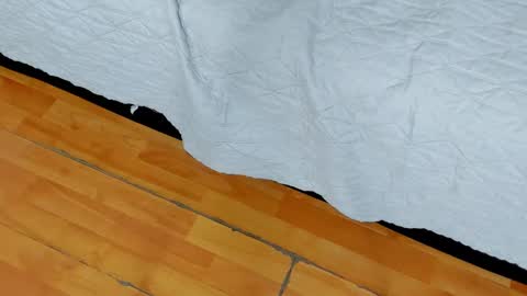 zia online show from January 27, 10:49 am