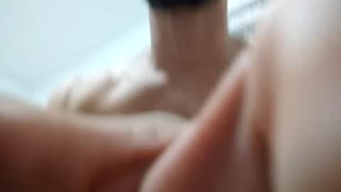 zigfrid666 online show from June 17, 1:45 pm