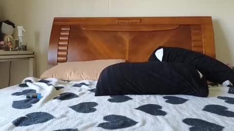 Snapshot of ziggy_rouge chatting on December 6, 3:30 am Ziggy ziggy- online show from December 6, 3:30 am