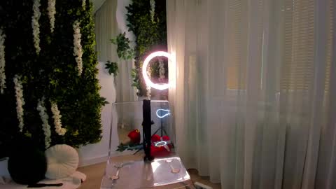 Galli online show from February 27, 7:23 am