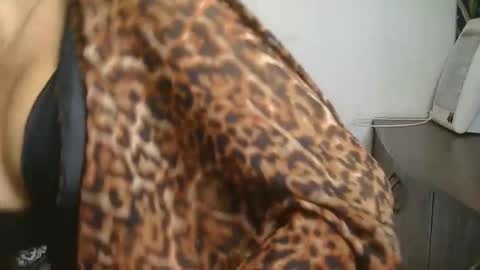 Snapshot of ziyaa_1 chatting on February 22, 4:13 am Ziyaa online show from February 22, 4:13 am