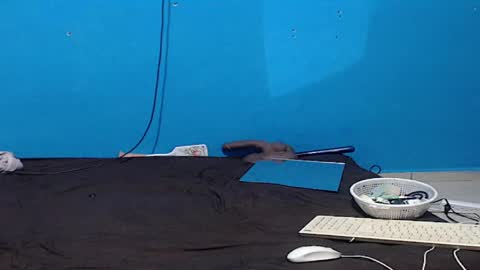 Zoe online show from April 5, 6:16 pm