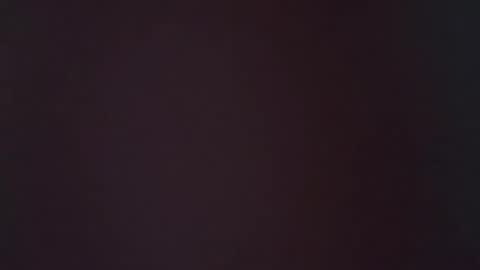 zoozdxb online show from January 16, 7:23 am