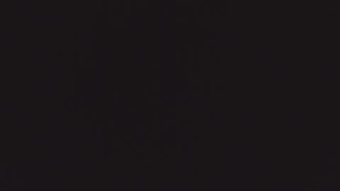 ZURY   online show from October 22, 11:32 am