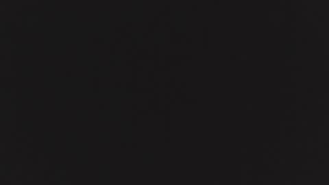 ZURY   online show from October 24, 11:28 am