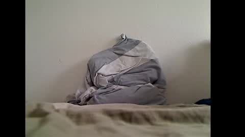 zwweener online show from January 14, 12:33 pm