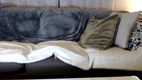 ZZMan online show from February 17, 10:47 pm