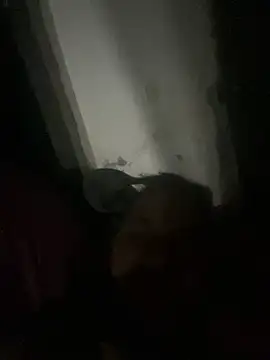 Snapshot of punhetaba chatting on February 24, 3:48 am punhetaba online show from February 24, 3:48 am