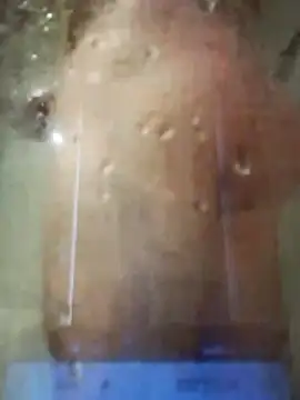 stiffandlubedxh online show from November 18, 7:51 pm