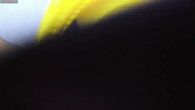 Alice bloom  online show from January 13, 5:57 am