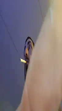 Bi curious86 online show from December 19, 4:47 pm