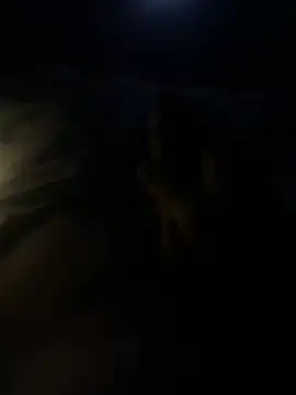 Snapshot of youngTJ chatting on July 27, 2:51 am youngTJ online show from July 27, 2:51 am
