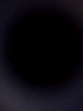 Carlabrasileira online show from November 9, 4:11 am