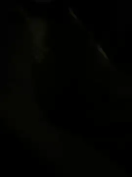 RoodoggXL online show from March 22, 3:20 am