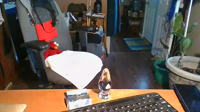 Daremeknot online show from December 31, 2:25 pm