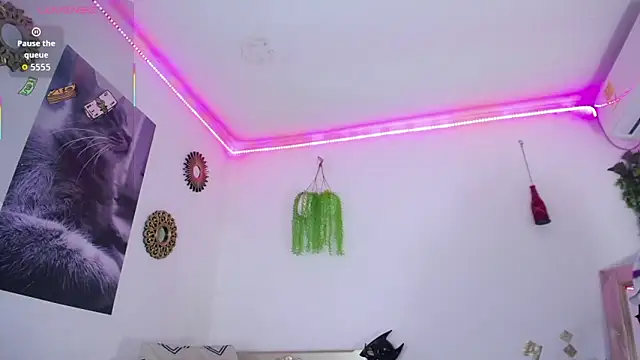 huge armound online show from March 8, 7:39 pm