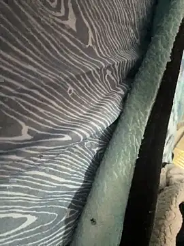 Followthepiper online show from November 10, 7:35 pm