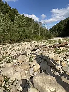 Snapshot of artXhibitor chatting on September 29, 1:16 pm artXhibitor online show from September 29, 1:16 pm