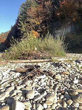 Snapshot of artXhibitor chatting on October 18, 2:29 pm artXhibitor online show from October 18, 2:29 pm