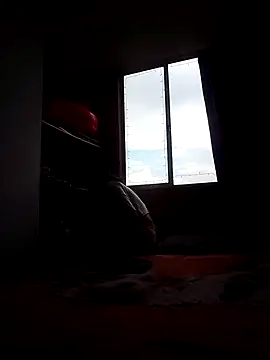 Cameron puppy online show from November 15, 8:38 pm