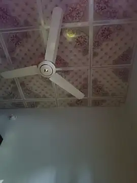 Dil-Ka-Radhika online show from November 29, 1:41 am