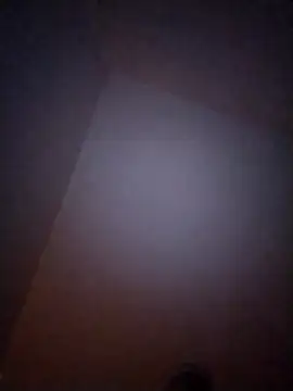 Treemandude online show from January 6, 10:08 am