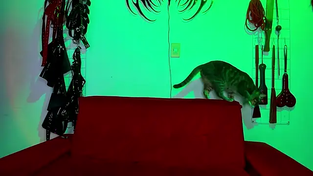 irregular fetish  online show from February 19, 6:59 pm