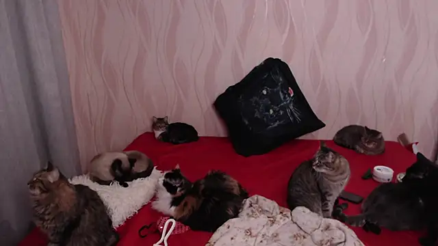 Olivia Winston online show from December 28, 9:40 pm